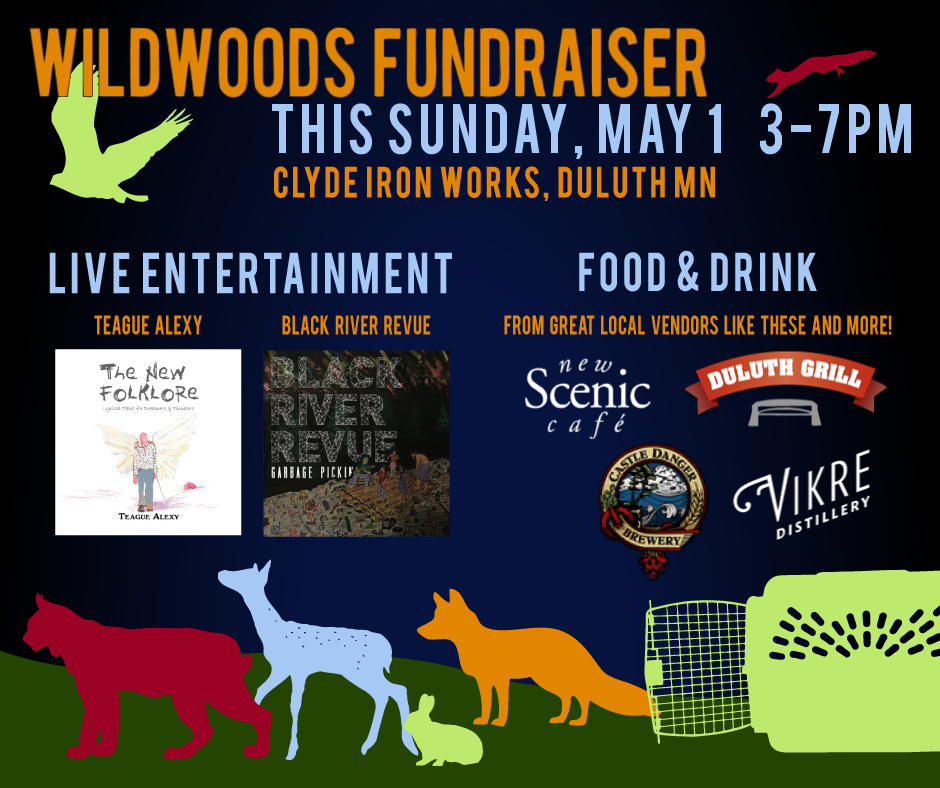 This Sunday, May 1 2016, Support Wildwoods at Clyde Iron Works in Duluth Minnesota